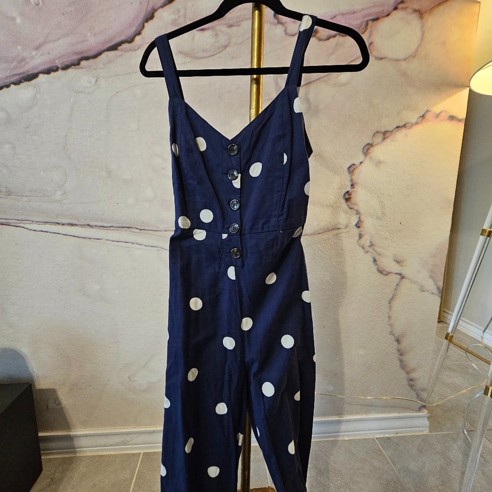 Japna Blue and White Jumpsuit